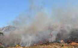 Akhisar’daki orman yangını 18 saat sonra kontrol altına alındı