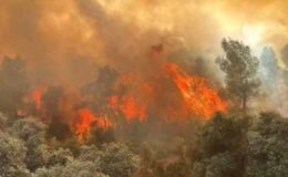 Manisa Yunusemre’deki orman yangını kontrol altına alındı